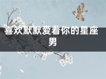 喜欢默默爱着你的星座男