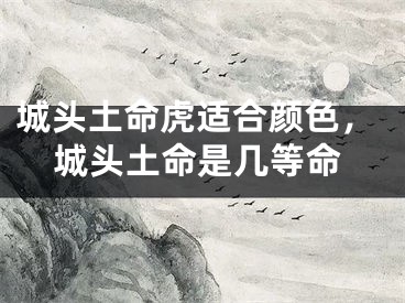 城头土命虎适合颜色,城头土命是几等命