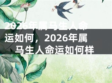 2026年属马生人命运如何，2026年属马生人命运如何样