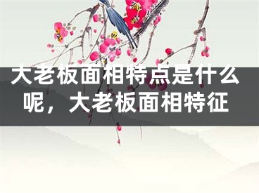大老板面相特点是什么呢，大老板面相特征