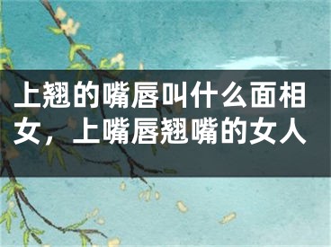 上翘的嘴唇叫什么面相女，上嘴唇翘嘴的女人