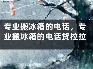 专业搬冰箱的电话，专业搬冰箱的电话货拉拉