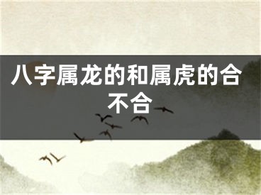 八字属龙的和属虎的合不合