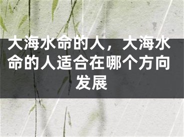 大海水命的人,大海水命的人适合在哪个方向发展