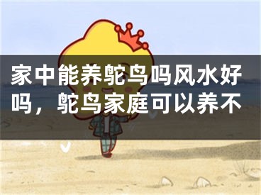 家中能养鸵鸟吗风水好吗,鸵鸟家庭可以养不