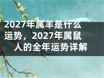 2027年属羊是什么运势，2027年属鼠人的全年运势详解