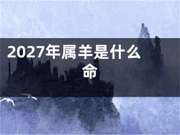 2027年属羊是什么命