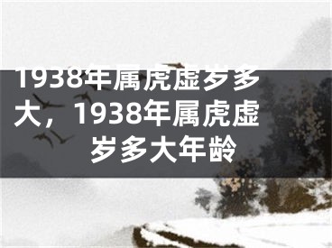 1938年属虎虚岁多大，1938年属虎虚岁多大年龄