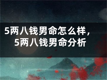 5两八钱男命怎么样，5两八钱男命分析