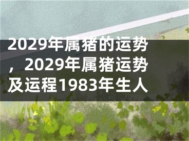 2029年属猪的运势，2029年属猪运势及运程1983年生人