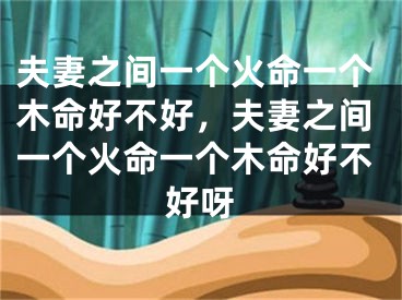 夫妻之间一个火命一个木命好不好，夫妻之间一个火命一个木命好不好呀