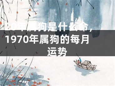 20年属狗是什么命，1970年属狗的每月运势