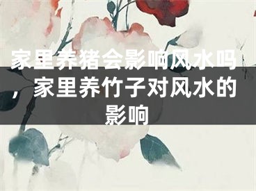 家里养猪会影响风水吗，家里养竹子对风水的影响