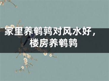 家里养鹌鹑对风水好,楼房养鹌鹑