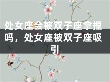 处女座会被双子座拿捏吗,处女座被双子座吸引