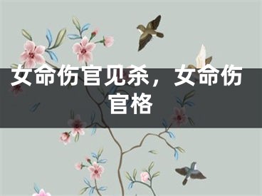 女命伤官见杀，女命伤官格