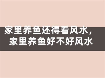 家里养鱼还得看风水，家里养鱼好不好风水