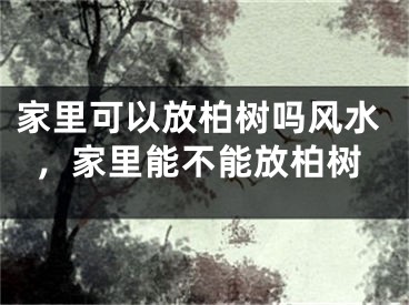 家里可以放柏树吗风水，家里能不能放柏树
