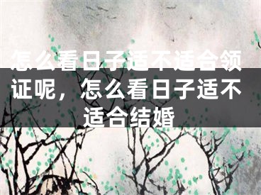 怎么看日子适不适合领证呢，怎么看日子适不适合结婚
