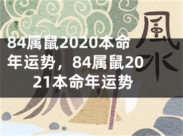 84属鼠2020本命年运势，84属鼠2021本命年运势