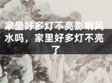 家里好多灯不亮影响风水吗,家里好多灯不亮了