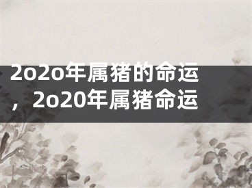 2o2o年属猪的命运，2o20年属猪命运