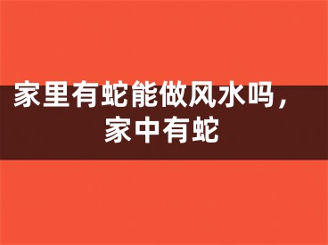 家里有蛇能做风水吗,家中有蛇