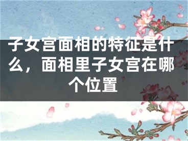 子女宫面相的特征是什么，面相里子女宫在哪个位置