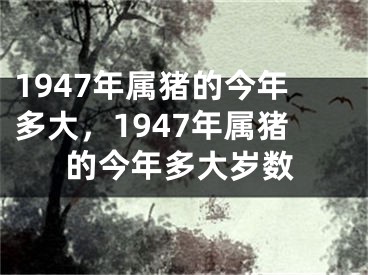 1947年属猪的今年多大，1947年属猪的今年多大岁数