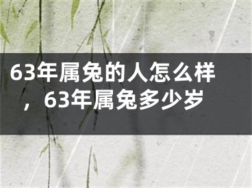 63年属兔的人怎么样，63年属兔多少岁