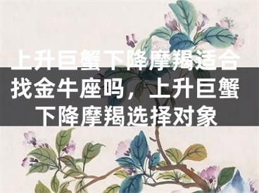 上升巨蟹下降摩羯适合找金牛座吗，上升巨蟹下降摩羯选择对象