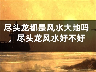 尽头龙都是风水大地吗，尽头龙风水好不好