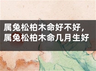 属兔松柏木命好不好，属兔松柏木命几月生好