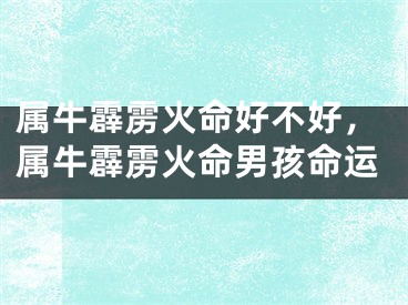 属牛霹雳火命好不好，属牛霹雳火命男孩命运