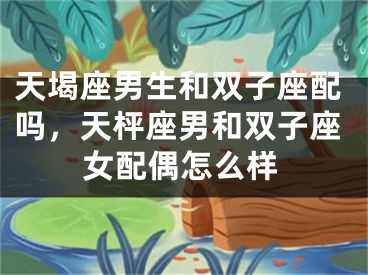 天堨座男生和双子座配吗,天枰座男和双子座女配偶怎么样