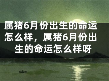 属猪6月份出生的命运怎么样,属猪6月份出生的命运怎么样呀