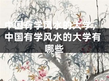 中国有学风水的大学，中国有学风水的大学有哪些