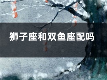 狮子座和双鱼座配吗