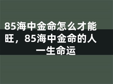 85海中金命怎么才能旺，85海中金命的人一生命运