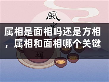 属相是面相吗还是方相，属相和面相哪个关键