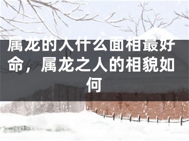 属龙的人什么面相最好命，属龙之人的相貌如何