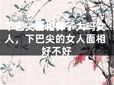 下巴尖面相鼻子大吗女人，下巴尖的女人面相好不好