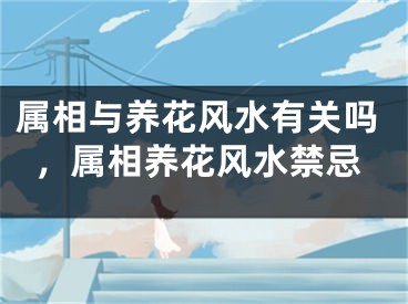 属相与养花风水有关吗,属相养花风水禁忌