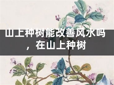 山上种树能改善风水吗,在山上种树