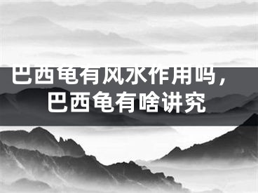 巴西龟有风水作用吗，巴西龟有啥讲究