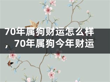 70年属狗财运怎么样，70年属狗今年财运