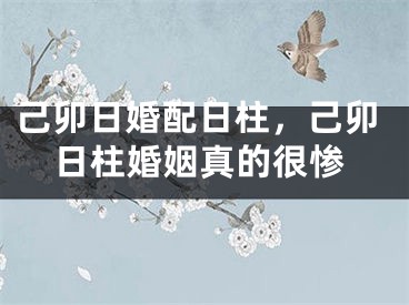 己卯日婚配日柱，己卯日柱婚姻真的很惨