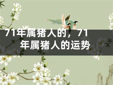 71年属猪人的，71年属猪人的运势