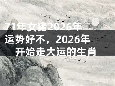 71年女猪2026年运势好不，2026年开始走大运的生肖