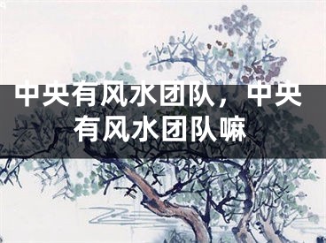 中央有风水团队，中央有风水团队嘛